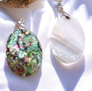 Abalone schelp hanger