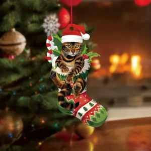 Kerstboom Hanger met Kat Verstopt in Kerstsok