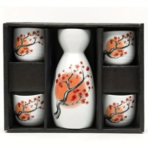 5-Delige Sake Set van Porselein