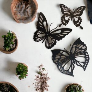 wanddecoratie vlinder