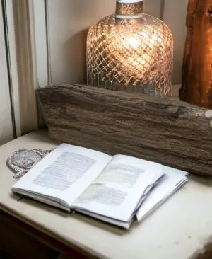 versteend hout