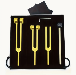 Klankvorken Set Goudkleurig