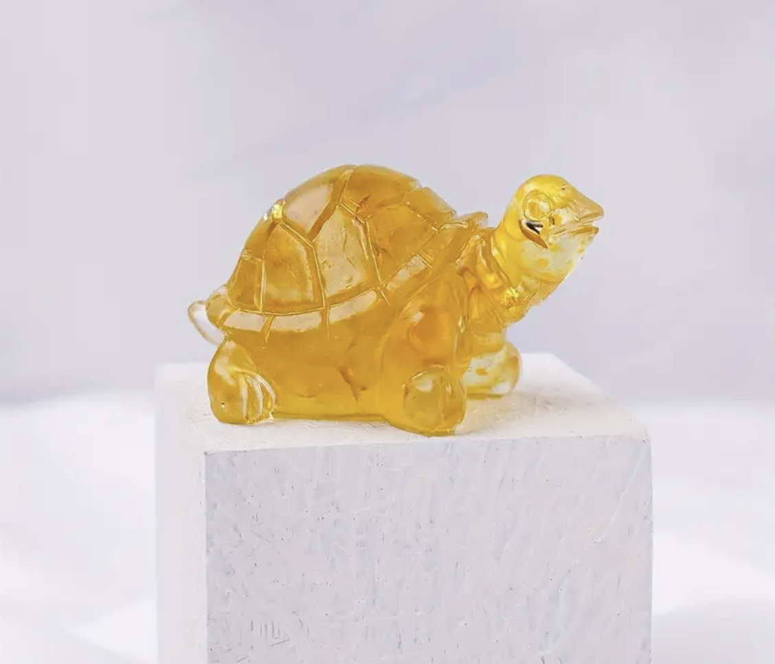 Citrien Schildpad
