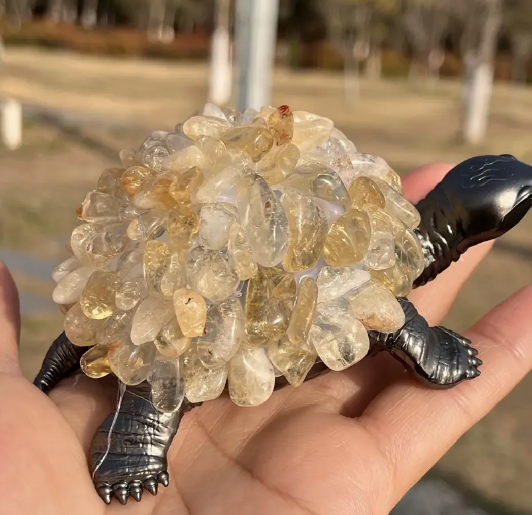 Citrien Schildpad