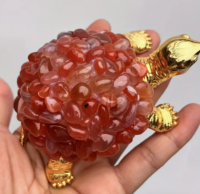 Goudkleurige Carneol Schildpad
