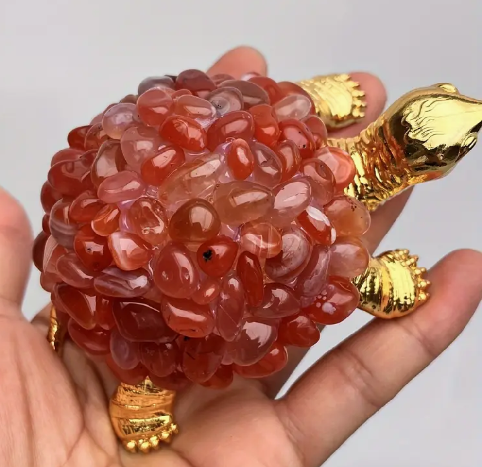 Goudkleurige Carneol Schildpad