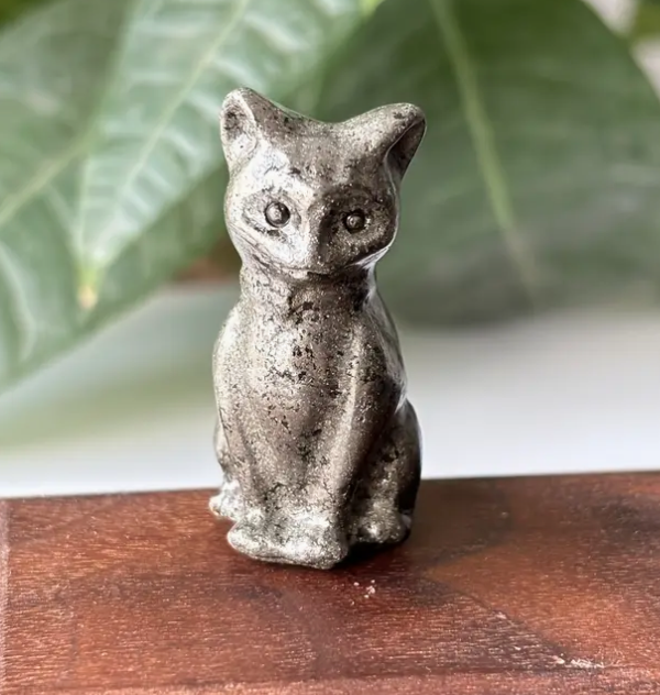 Pyriet Kattenbeeldje