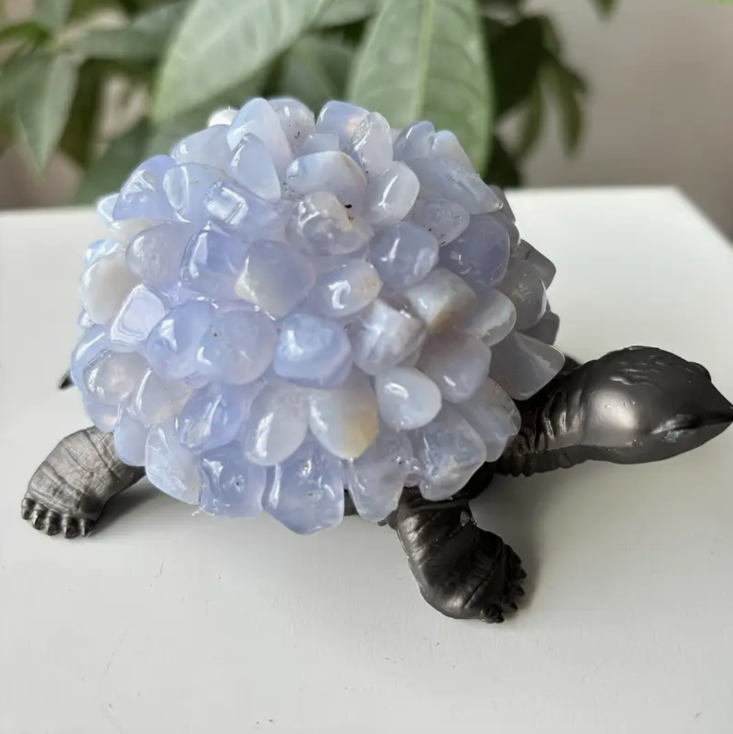Opaliet Schildpad