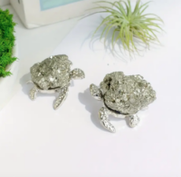 Pyriet Steen Schildpad