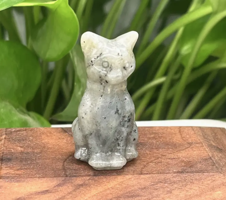 Labradoriet Kattenbeeldje
