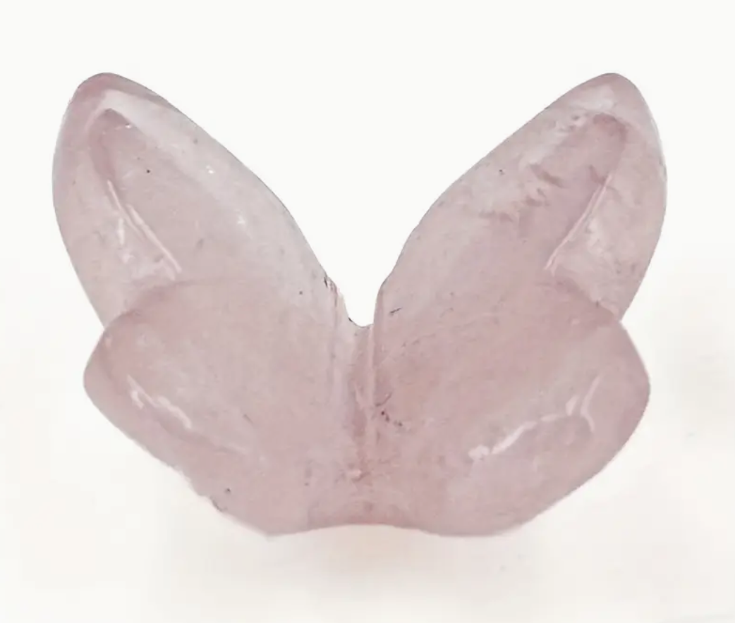 Rozenkwarts Vlinder
