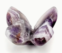 Droom Amethist Vlinder