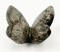 Pyriet Vlinder